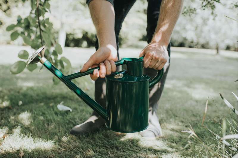 Haws The Bearwood Brook 4,5 L green